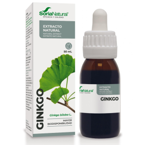 ESTRATTO DI GINKGO BILOBA